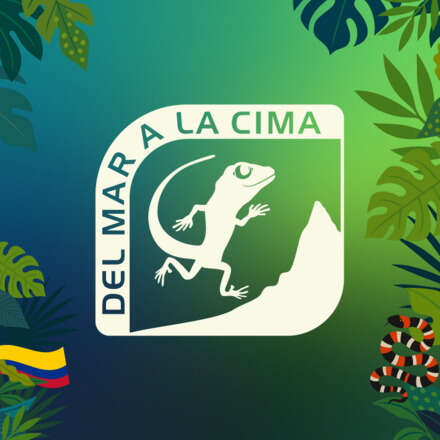 DEL MAR A LA CIMA 2025 | 12° EDICIÓN