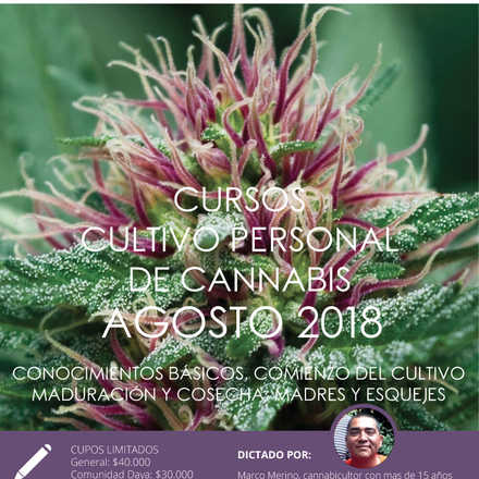 Cursos de Cultivo Personal de Cannabis agosto 2018