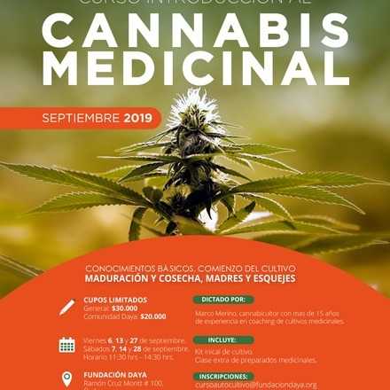 Curso Introductorio al Cannabis Medicinal de Septiembre