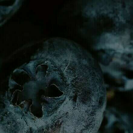 Preventa exclusiva al Curso 1° Curso Internacional de Especialización en Producción de Arándanos, Chiclayo, Perú 2026