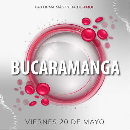 Abraza la vida, Bucaramanga