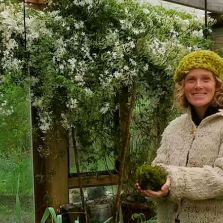 JARDINES COMESTIBLES