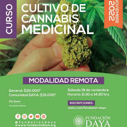 Curso de Cultivo de Cannabis Medicinal - Modalidad Remota - Noviembre 2022