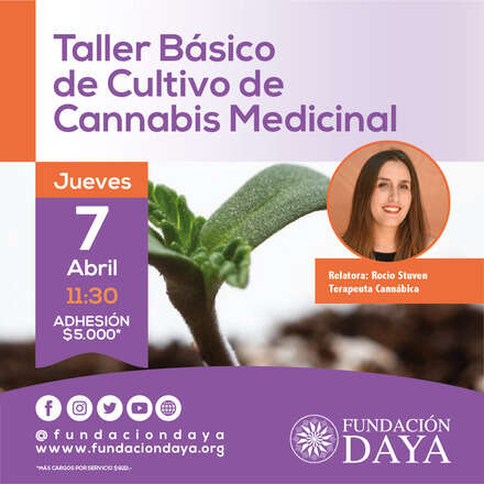 Taller Básico de Cultivo de Cannabis Medicinal 7 abril 2022