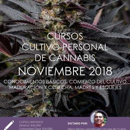 Cursos de Cultivo Personal de Cannabis noviembre 2018