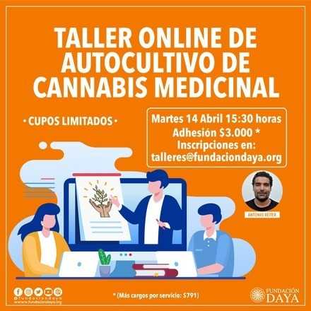 Taller Básico sobre Cultivo de Cannabis Medicinal martes 14 abril 2020