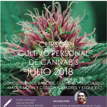 Cursos de Cultivo Personal de Cannabis julio 2018