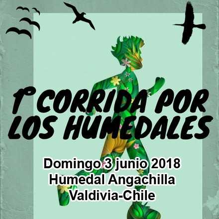 1° Corrida por los humedales