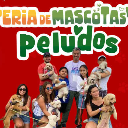 Feria Navideña Peludos