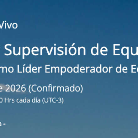 Curso Online Liderazgo y Supervisión de Equipos de Trabajo