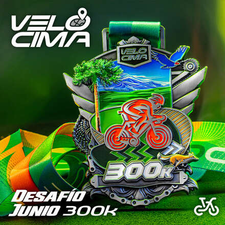 Velocima_300k