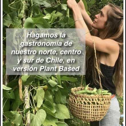 Hagamos la gastronomía de nuestro norte, centro y sur de Chile, en versión Plant Based by Catalina Amenábar