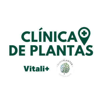 Clínica de Plantas - Vitacura