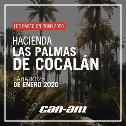1er Paseo Can-Am On Road - Ruta de la Palma Chilena