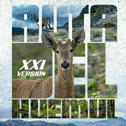 XXI RUTA DEL HUEMUL VERANO 2026