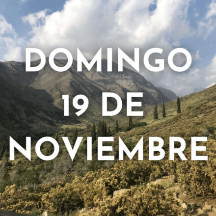 Las tres F en Yerba Loca: Flora, Fauna y Funga