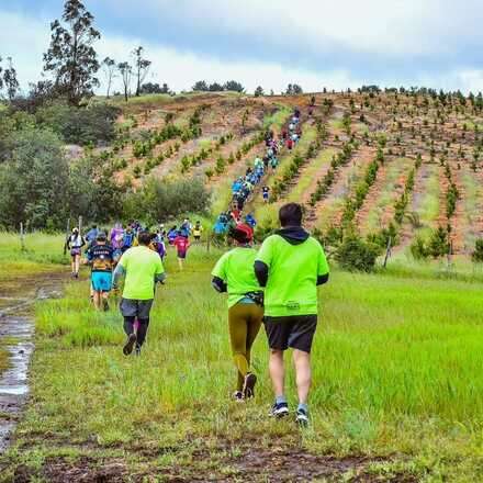 TRAIL EL COMBATE YUMBEL 2025