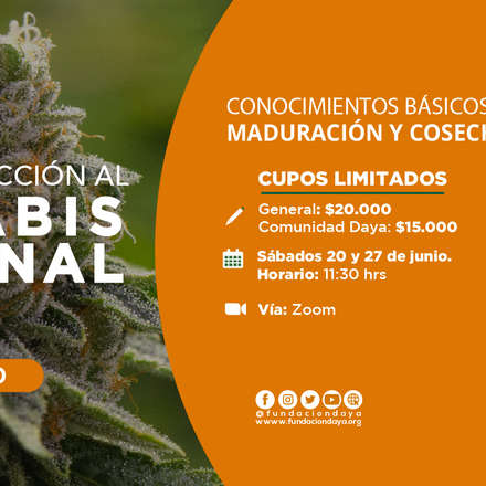 Curso Introductorio al Cultivo de Cannabis Medicinal Junio 2020