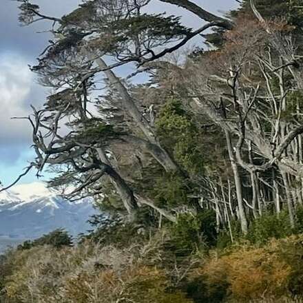 PARQUES NACIONALES Y BIENESTAR: DESAFIOS PARA LA GESTIÓN SUSTENTABLE DEL HÁBITAT NATURAL 