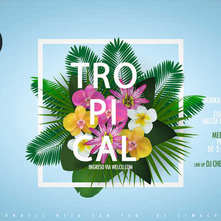 Santo Averno / Tropical