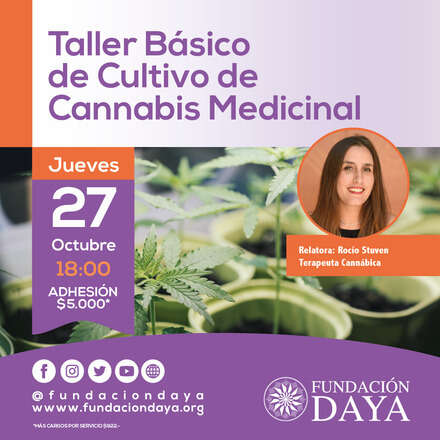 Taller Básico de Cultivo de Cannabis Medicinal 27 octubre 2022