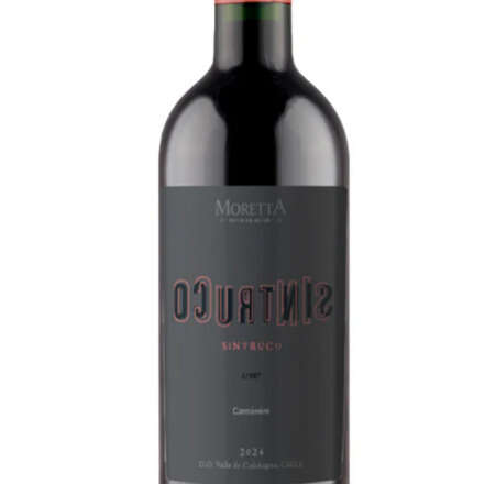 Cata de vinos Moretta Wines junto a Vique Club