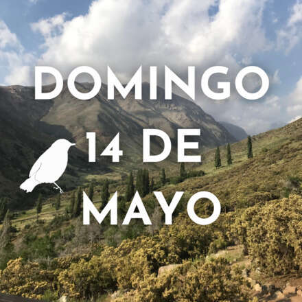 Aves de Villa Paulina