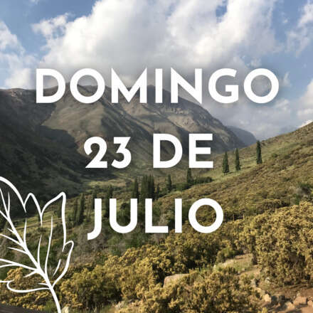 El Bosque de Villa Paulina