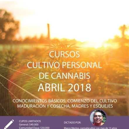  Cursos de Cultivo Personal de Cannabis abril 2018