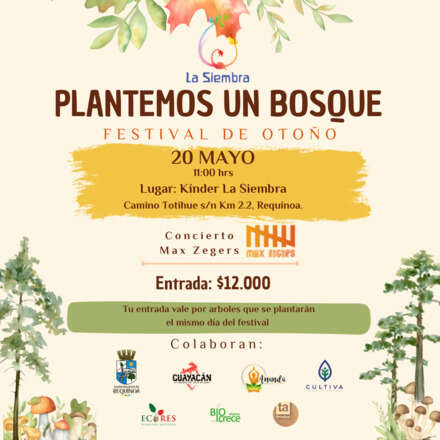 Plantemos un bosque