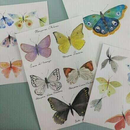 Aprende a pintar mariposas en acuarela junto a Javiera Gutierrez 