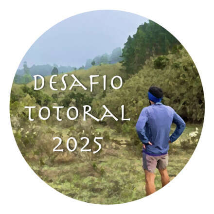DESAFIO TOTORAL