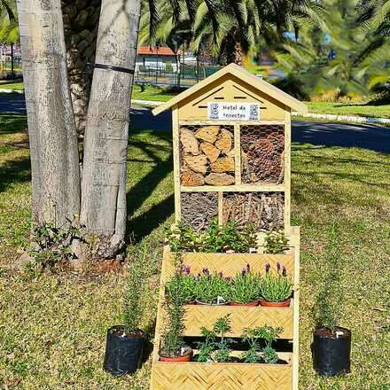 Taller práctico e interactivo: Huertas urbanas, suelos vivos junto a la INIA 