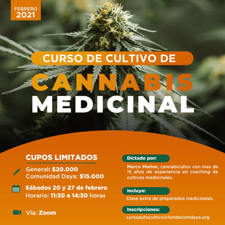 Curso de Cultivo de Cannabis Medicinal febrero 2021