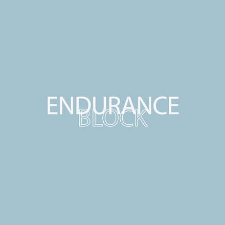 Día mundial de la escalada - Endurance Block