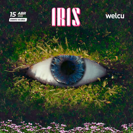 Iris 