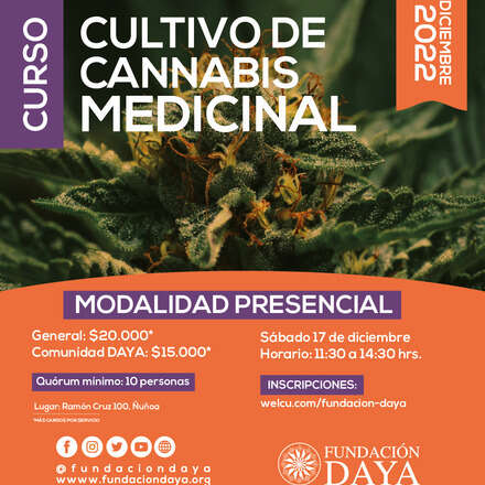 Curso de Cultivo de Cannabis Medicinal - Modalidad Presencial - Diciembre 2022
