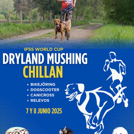 Dryland Mushing Chillan