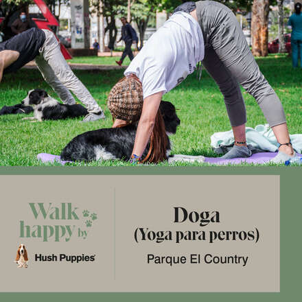 Doga (Yoga para perros) Parque El Country 