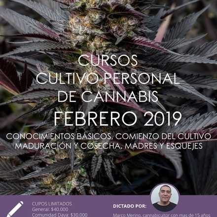 Curso de Cultivo Personal de Cannabis febrero 2019