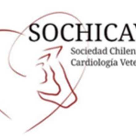 IV Congreso Latinoamericano de Cardiología Veterinaria