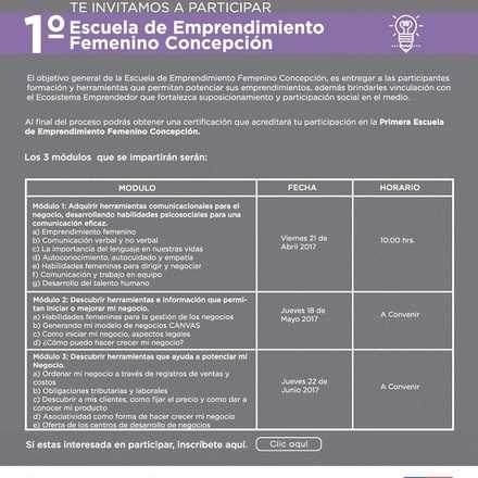 Primera Escuela de Emprendimiento Femenino - Concepción
