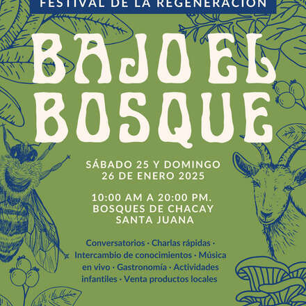 Festival de la regeneración bajo el bosque