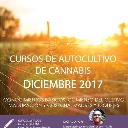 Cursos de Autocultivo de Cannabis diciembre 2017