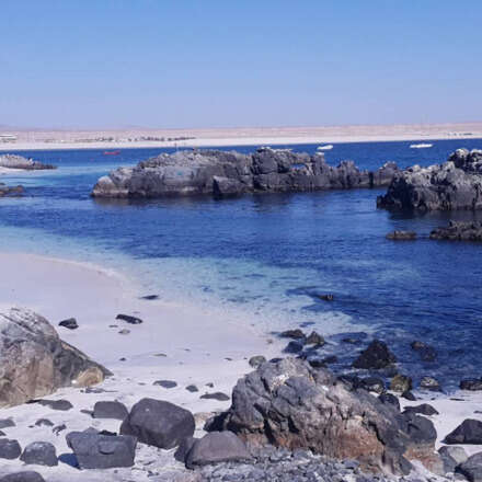 TOPMAN  BAHÍA INGLESA 2025