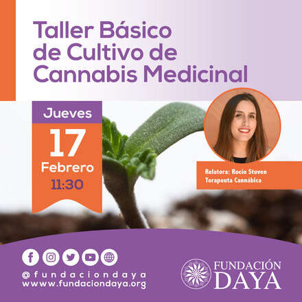 Taller Básico de Cultivo de Cannabis Medicinal 17 febrero 2022