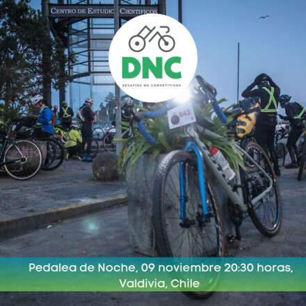 DNC Desafía la noche