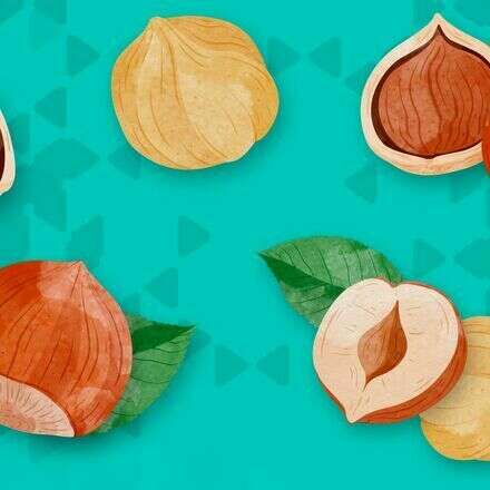 3era Conferencia Redagricola  Avellano Europeo 2026