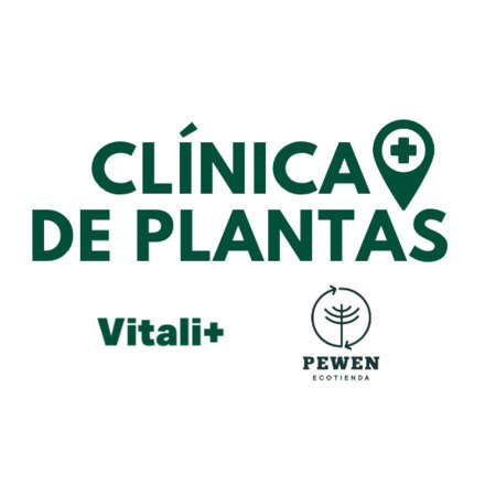 Clínica de Plantas - Ecotienda Pewen