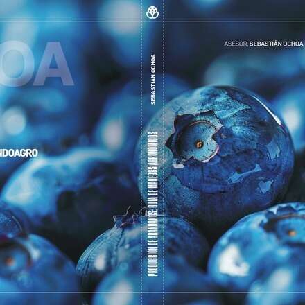 Venta libro Sebastián Ochoa versión español – Valores en USD